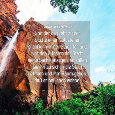 Picture 04 - Josua 20:4 LUTH1912 - Und der da flieht zu der Städte einer, soll - Bible Verse Picture