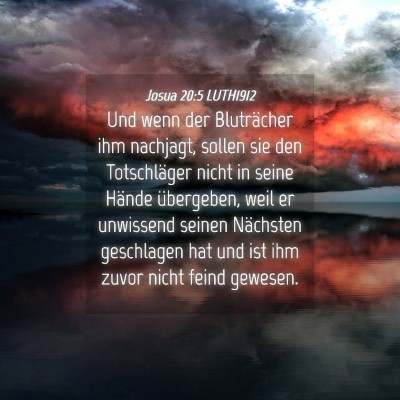 Picture 04 - Josua 20:5 LUTH1912 - Und wenn der Bluträcher ihm nachjagt, sollen sie - Bible Verse Picture