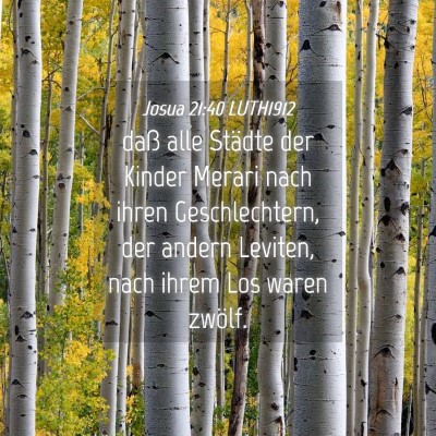 Picture 04 - Josua 21:40 LUTH1912 - daß alle Städte der Kinder Merari nach ihren - Bible Verse Picture