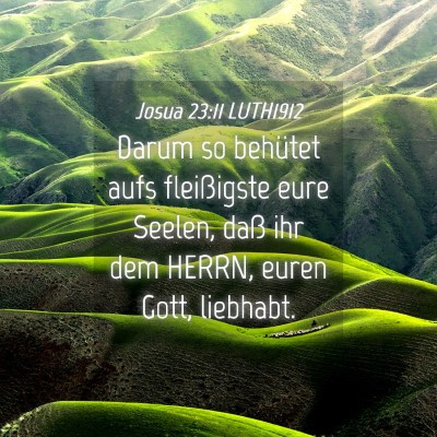 Picture 04 - Josua 23:11 LUTH1912 - Darum so behütet aufs fleißigste eure Seelen, - Bible Verse Picture