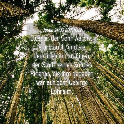 Picture 04 - Josua 24:33 LUTH1912 - Eleasar, der Sohn Aarons, starb auch, und sie - Bible Verse Picture