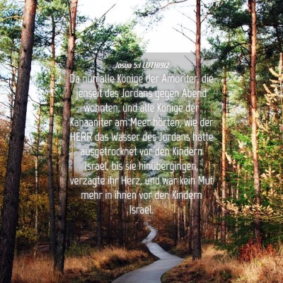 Picture 04 - Josua 5:1 LUTH1912 - Da nun alle Könige der Amoriter, die jenseit des - Bible Verse Picture