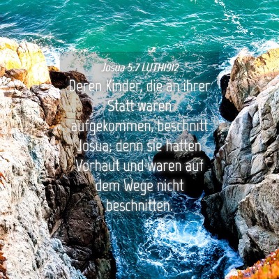 Picture 04 - Josua 5:7 LUTH1912 - Deren Kinder, die an ihrer Statt waren - Bible Verse Picture
