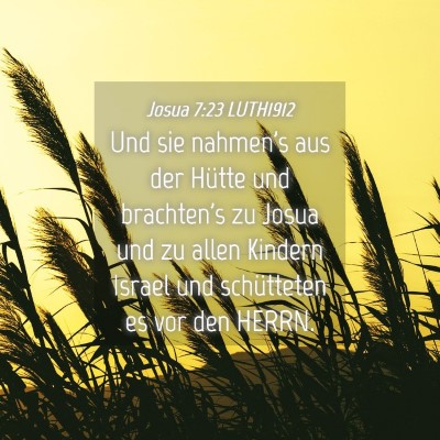 Picture 04 - Josua 7:23 LUTH1912 - Und sie nahmen's aus der Hütte und brachten's zu - Bible Verse Picture