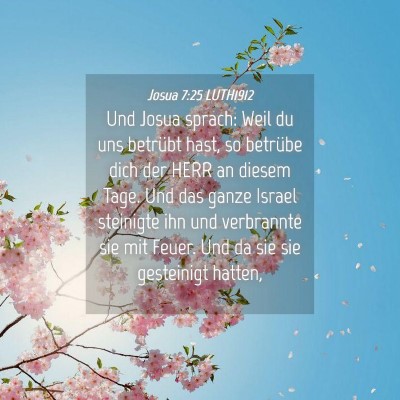 Picture 04 - Josua 7:25 LUTH1912 - Und Josua sprach: Weil du uns betrübt hast, so - Bible Verse Picture