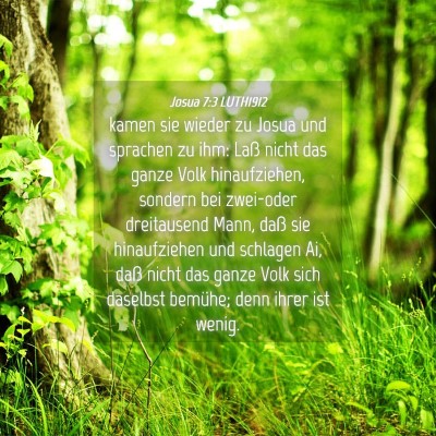 Picture 04 - Josua 7:3 LUTH1912 - kamen sie wieder zu Josua und sprachen zu ihm: - Bible Verse Picture