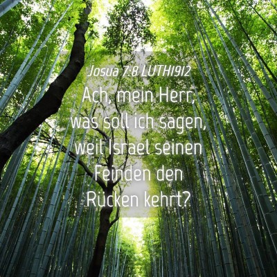 Picture 04 - Josua 7:8 LUTH1912 - Ach, mein Herr, was soll ich sagen, weil Israel - Bible Verse Picture
