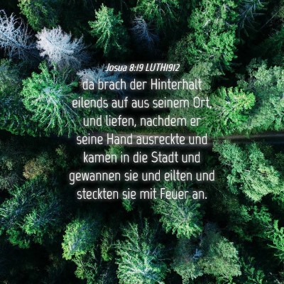 Picture 04 - Josua 8:19 LUTH1912 - da brach der Hinterhalt eilends auf aus seinem - Bible Verse Picture