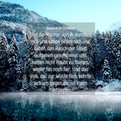 Picture 04 - Josua 8:20 LUTH1912 - Und die Männer von Ai wandten sich und sahen - Bible Verse Picture