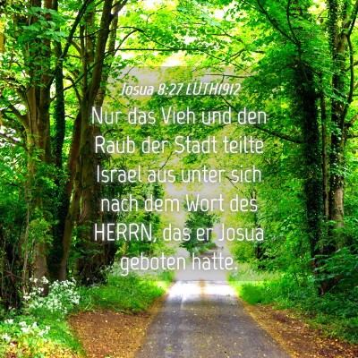 Picture 04 - Josua 8:27 LUTH1912 - Nur das Vieh und den Raub der Stadt teilte Israel - Bible Verse Picture