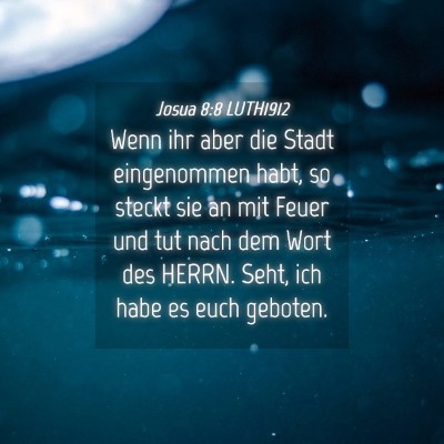 Picture 04 - Josua 8:8 LUTH1912 - Wenn ihr aber die Stadt eingenommen habt, so - Bible Verse Picture