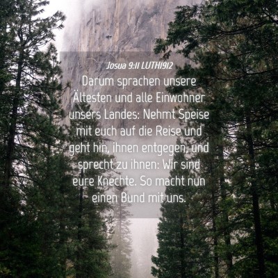 Picture 04 - Josua 9:11 LUTH1912 - Darum sprachen unsere Ältesten und alle - Bible Verse Picture
