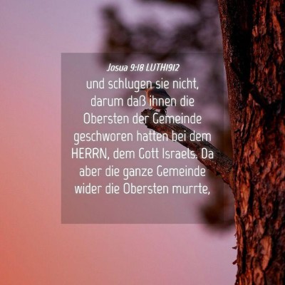 Picture 04 - Josua 9:18 LUTH1912 - und schlugen sie nicht, darum daß ihnen die - Bible Verse Picture