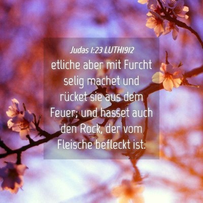 Picture 04 - Judas 1:23 LUTH1912 - etliche aber mit Furcht selig machet und rücket - Bible Verse Picture