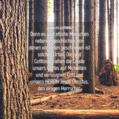 Picture 04 - Judas 1:4 LUTH1912 - Denn es sind etliche Menschen - Bible Verse Picture