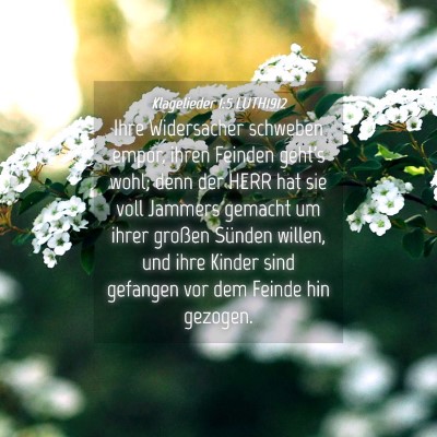 Picture 04 - Klagelieder 1:5 LUTH1912 - Ihre Widersacher schweben empor, ihren Feinden - Bible Verse Picture