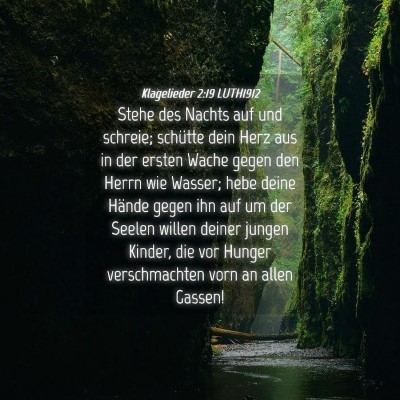 Picture 04 - Klagelieder 2:19 LUTH1912 - Stehe des Nachts auf und schreie; schütte dein - Bible Verse Picture