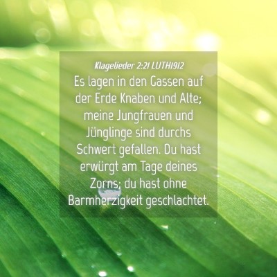 Picture 04 - Klagelieder 2:21 LUTH1912 - Es lagen in den Gassen auf der Erde Knaben und - Bible Verse Picture