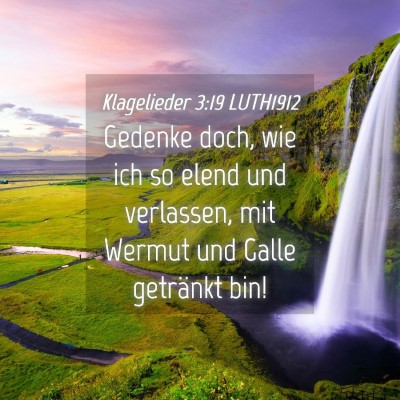 Picture 04 - Klagelieder 3:19 LUTH1912 - Gedenke doch, wie ich so elend und verlassen, mit - Bible Verse Picture