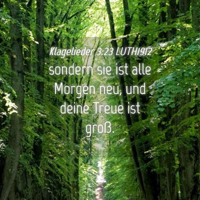 Picture 04 - Klagelieder 3:23 LUTH1912 - sondern sie ist alle Morgen neu, und deine Treue - Bible Verse Picture