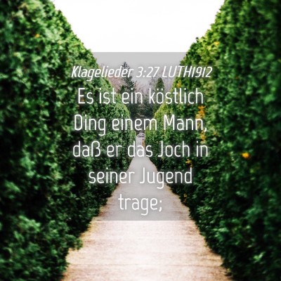 Picture 04 - Klagelieder 3:27 LUTH1912 - Es ist ein köstlich Ding einem Mann, daß er das - Bible Verse Picture