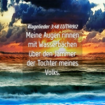Picture 04 - Klagelieder 3:48 LUTH1912 - Meine Augen rinnen mit Wasserbächen über den - Bible Verse Picture
