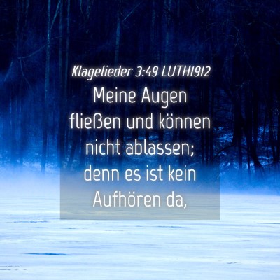 Picture 04 - Klagelieder 3:49 LUTH1912 - Meine Augen fließen und können nicht ablassen; - Bible Verse Picture