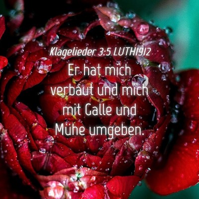 Picture 04 - Klagelieder 3:5 LUTH1912 - Er hat mich verbaut und mich mit Galle und Mühe - Bible Verse Picture