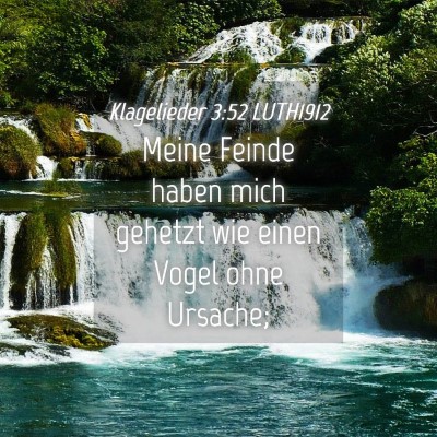 Picture 04 - Klagelieder 3:52 LUTH1912 - Meine Feinde haben mich gehetzt wie einen Vogel - Bible Verse Picture