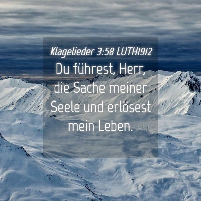 Picture 04 - Klagelieder 3:58 LUTH1912 - Du führest, Herr, die Sache meiner Seele und - Bible Verse Picture
