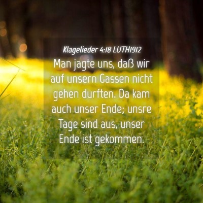 Picture 04 - Klagelieder 4:18 LUTH1912 - Man jagte uns, daß wir auf unsern Gassen nicht - Bible Verse Picture