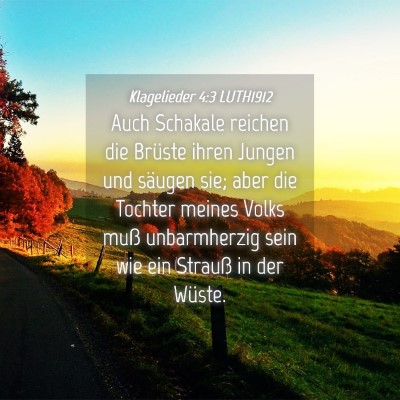 Picture 04 - Klagelieder 4:3 LUTH1912 - Auch Schakale reichen die Brüste ihren Jungen - Bible Verse Picture