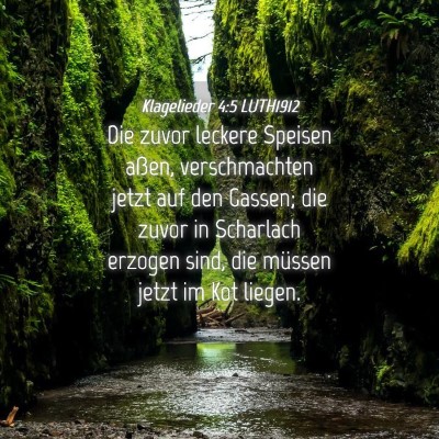 Picture 04 - Klagelieder 4:5 LUTH1912 - Die zuvor leckere Speisen aßen, verschmachten - Bible Verse Picture