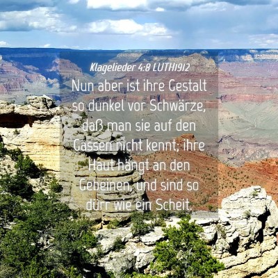 Picture 04 - Klagelieder 4:8 LUTH1912 - Nun aber ist ihre Gestalt so dunkel vor - Bible Verse Picture