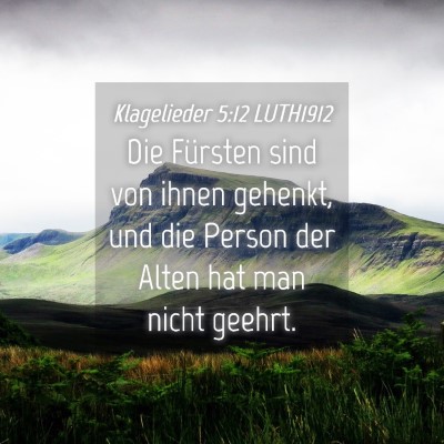 Picture 04 - Klagelieder 5:12 LUTH1912 - Die Fürsten sind von ihnen gehenkt, und die - Bible Verse Picture