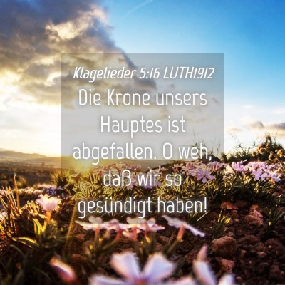 Picture 04 - Klagelieder 5:16 LUTH1912 - Die Krone unsers Hauptes ist abgefallen. O weh, - Bible Verse Picture
