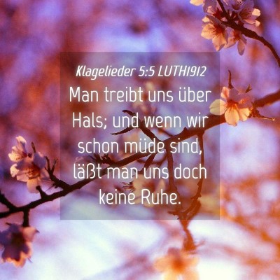 Picture 04 - Klagelieder 5:5 LUTH1912 - Man treibt uns über Hals; und wenn wir schon - Bible Verse Picture