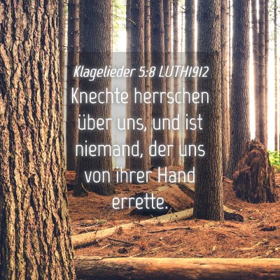 Picture 04 - Klagelieder 5:8 LUTH1912 - Knechte herrschen über uns, und ist niemand, der - Bible Verse Picture