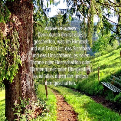 Picture 04 - Kolosser 1:16 LUTH1912 - Denn durch ihn ist alles geschaffen, was im - Bible Verse Picture