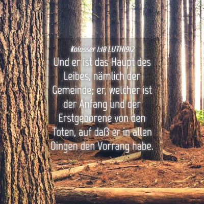 Picture 04 - Kolosser 1:18 LUTH1912 - Und er ist das Haupt des Leibes, nämlich der - Bible Verse Picture