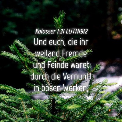Picture 04 - Kolosser 1:21 LUTH1912 - Und euch, die ihr weiland Fremde und Feinde waret - Bible Verse Picture