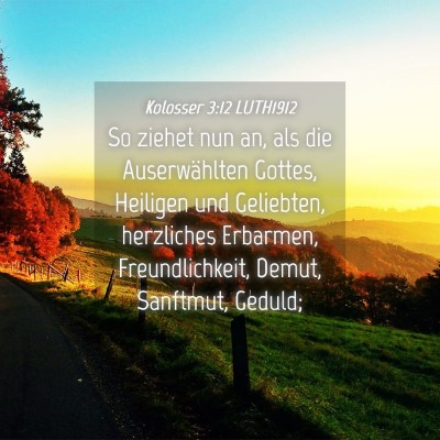 Picture 04 - Kolosser 3:12 LUTH1912 - So ziehet nun an, als die Auserwählten Gottes, - Bible Verse Picture