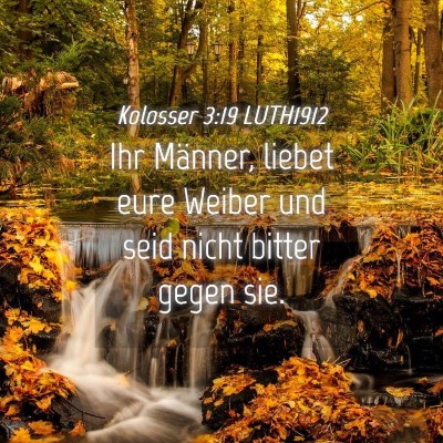 Picture 04 - Kolosser 3:19 LUTH1912 - Ihr Männer, liebet eure Weiber und seid nicht - Bible Verse Picture