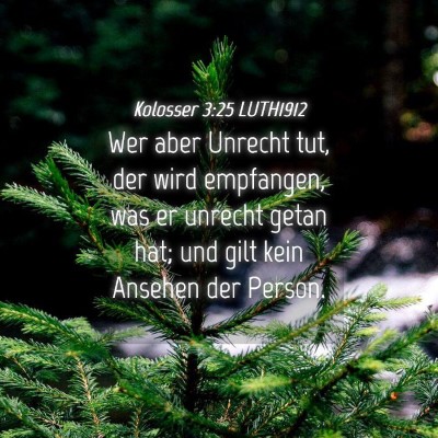Picture 04 - Kolosser 3:25 LUTH1912 - Wer aber Unrecht tut, der wird empfangen, was er - Bible Verse Picture