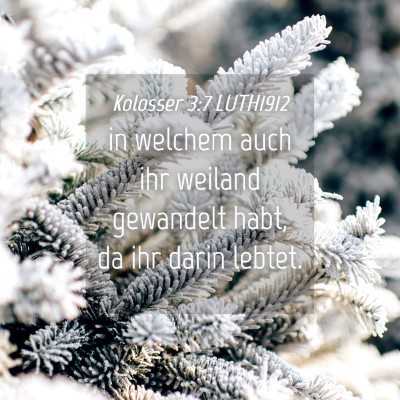 Picture 04 - Kolosser 3:7 LUTH1912 - in welchem auch ihr weiland gewandelt habt, da - Bible Verse Picture