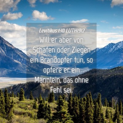 Picture 04 - Levitikus 1:10 LUTH1912 - Will er aber von Schafen oder Ziegen ein - Bible Verse Picture