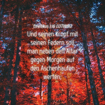 Picture 04 - Levitikus 1:16 LUTH1912 - Und seinen Kropf mit seinen Federn soll man neben - Bible Verse Picture