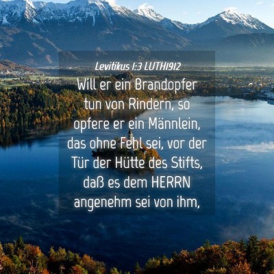 Picture 04 - Levitikus 1:3 LUTH1912 - Will er ein Brandopfer tun von Rindern, so opfere - Bible Verse Picture