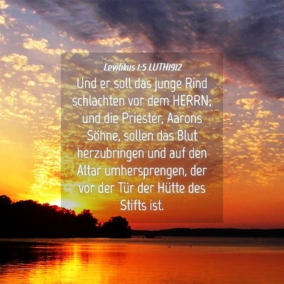 Picture 04 - Levitikus 1:5 LUTH1912 - Und er soll das junge Rind schlachten vor dem - Bible Verse Picture