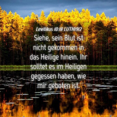 Picture 04 - Levitikus 10:18 LUTH1912 - Siehe, sein Blut ist nicht gekommen in das - Bible Verse Picture